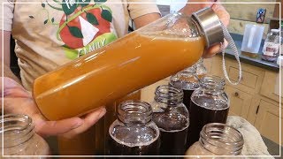 PERFECT KOMBUCHA [upl. by Nagyam]