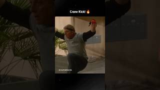 Crane Kick cobrakai edit karatekid ralphmacchio xolomaridueña [upl. by Ciel]