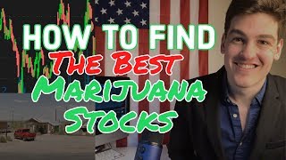 Top Marijuana Stocks How To Find amp Trade in 2019 ✳️ [upl. by Myrtie]