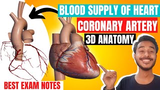 Coronary artery anatomy  Artery supply of heart anatomy  Blood supply of heart anatomy in hindi [upl. by Ezmeralda]