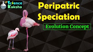 PERIPATRIC SPECIATION In Hindi  CSIR NET  GATE  EVOLUTION [upl. by Vasti]