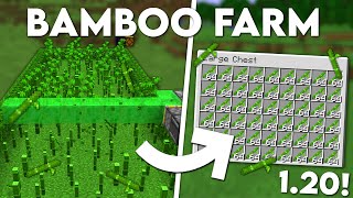 Minecraft Automatic Bamboo Farm  120 Tutorial [upl. by Hiamerej]