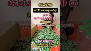 දවසට රුපියල් 4000 ක් ගන්න එකතු වෙන්නjob jobvacancy jobs2024 job2025 workfromhomejobs lkjobs [upl. by Madriene]