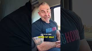 Fat Loss With FUCOXANTHIN What It Is amp What It Does [upl. by Farrison]