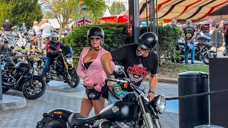 2024 HarleyDavidson European Bike Week Riders [upl. by Pollak]