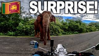 We Came Inches Away from a WILD ELEPHANT While Riding in Sri Lanka Ep8 [upl. by Hy]