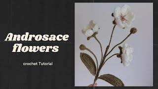 Crochet Androsace Flowers Tutorial [upl. by Holcomb]