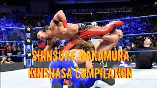 Shinsuke Nakamura Kinshasa Compilation [upl. by Disharoon]