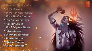 Top bhajans of Shankar ji mahadev jukebox  MRPRODUCTIONMAYARAMCHANDRA [upl. by Hertzog]