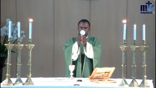 La Sainte Messe du jour  Mardi 16ème Semaine du T O  23072024  P Achille José Nkomo B FM [upl. by Neerahs]