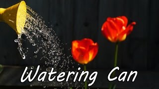 How to Make a Basic Watering Can [upl. by Tawnya360]