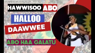 Halloo Daawwee Music  Hawwisoo ABO  ABOn Haa Latu  New Oromo Music HD  Sirba Qabsoo [upl. by Clere]