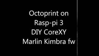 Octoprint on Raspberry pi 3  Core XY 3d printer [upl. by Jolee284]