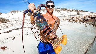 Catching GIANT CRAYFISH Barehanded For Food Living From The Ocean  Ep 194 [upl. by Snowber]