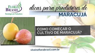 VIVEIRO FLORA BRASIL DÃšVIDA SOBRE COMO COMEÃ‡AR A CULTIVAR MARACUJÃ [upl. by Mylo758]