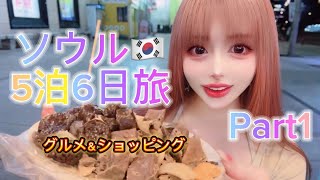 【vlog】今年初ソウル🇰🇷リピ確ショップ発掘成功🛍🍴 [upl. by Oicnevuj]