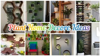 Plant Decoration Plant Home Decore Ideas trainding viral youtube newyt [upl. by Linsk586]