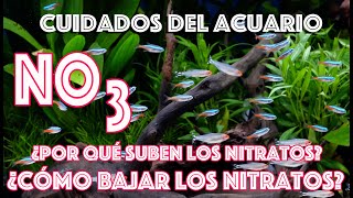 Cuidados del Acuario ¿Por qué suben los nitratos ¿Cómo puedo bajar los nitratos del acuario [upl. by Seyer]