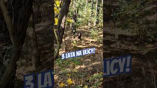 Trzy lata na ulicy [upl. by Naud]