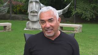 Cesar Millan quotCleans His Energyquot at Rythmia [upl. by Rhine81]