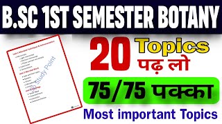 BSc 1st semester Botany important topics  Bsc 1st semester important questions spstudypoint [upl. by Tabitha]