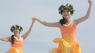 Kaimuki Hula Halau Hula O Kaleilani vol5 Kamakura Beach Festa 2017 [upl. by Hephzibah37]