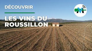 À la découverte du vignoble du Roussillon [upl. by Lewellen]