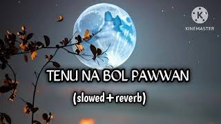 Tenu Na Bol Pawaan lofi song slowedreverb  Bahen Hogi Teri  Shruti H Raj K Rao  Amjad Nadeem [upl. by Sydalg113]