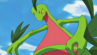 Ashs Treecko evolves into Grovyle amp Guys Loudred evolves into Exploud [upl. by Entirb39]