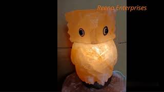 Owl Shaped Himalayan Rock Salt Lamp [upl. by Oizirbaf]