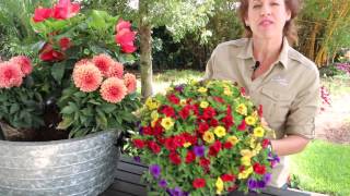 How to Design a Container Garden [upl. by Sille959]