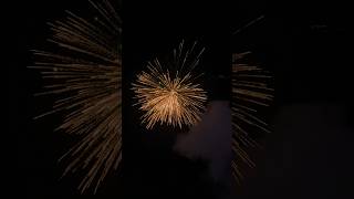 AMAZING FIREWORKS IN DIWALI 🎇🪔trending viralvideo fireworks [upl. by Outlaw288]