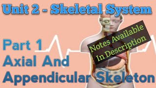 हिन्दी में  All 206 Bones in Easy Language Skeleton System  Part 1 Unit 2  BSc Nursing [upl. by Egerton]