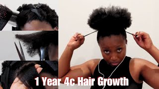 My Hair Journey From Relaxed to Natural hair again in Just 1 Year natural4chair lowporosityhair [upl. by Aubert]