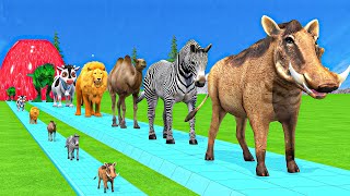 Paint amp Animals CowGorillaElephantGiraffeTigerLion Fountain Crossing Transformation Cartoon [upl. by Cynth426]