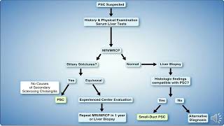 Primary Sclerosing Cholangitis AASLD Guidelines [upl. by Denae]