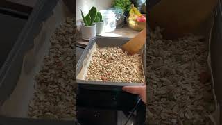 Homemade Granola Day 230 days challenge healthy granola [upl. by Niuq]