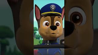 PAW Patrol  La Pat Patrouille  La Pat Patrouille rencontre les Super Chats  Shorts [upl. by Dusen]