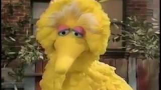 Sesame Street Episode 3860 FULL original PBS broadcast [upl. by Danyluk]