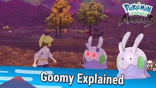 Goomy Explained  Pokémon Legends Arceus [upl. by Ahcmis]