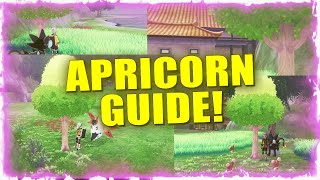 ALL Apricorn Tree Locations in Pokemon Sword and Shield Isle of Armor DLC [upl. by Affra]