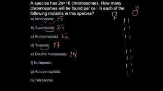 Chromosome number and ploidy mutations [upl. by Morrissey]