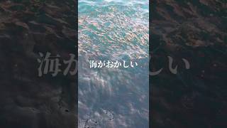 魚を釣る時代がオワタ！天変地異 [upl. by Atteroc]