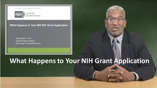 What Happens to Your NIH Grant Application [upl. by Cedar]