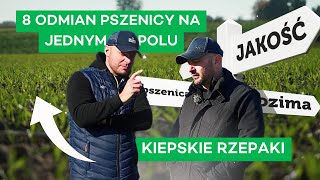 CEL JAKOŚCIÓWKA DWA SYSTEMY OCHRONY I PLAN NA WIOSNĘ  321 nawozy nonstop [upl. by Garbe]