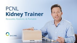 PCNL Kidney Trainer  Reusable Percutaneous Nephrolithotripsy Surgical Trainer [upl. by Killigrew]