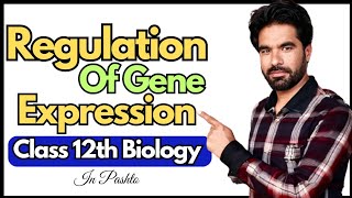 Regulation Of Gene Expression  Class 12 Biology Made Simple [upl. by Vasta]