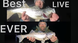 ONE LIVE TO WATCH BACK EPIC  mixed baits [upl. by Aihtenak]