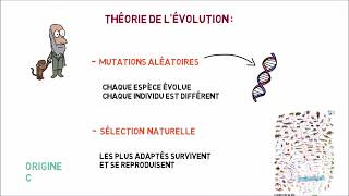 La théorie de lévolution prouvetelle linexistence de Dieu [upl. by Maroj508]