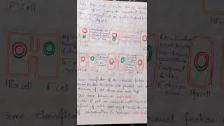 Reproduction In Bacteria MicrobiologyBscMsc Botany shorts ytshorts Biolife [upl. by Anderea468]